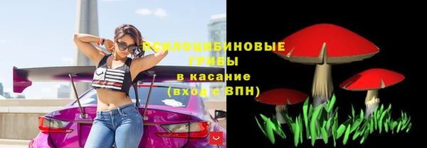 ALPHA PVP Белокуриха