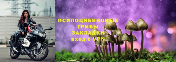 a pvp Беломорск