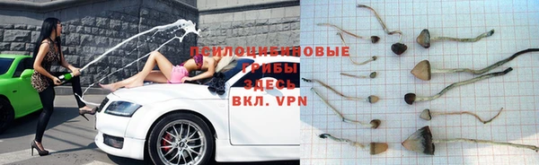 a pvp Беломорск