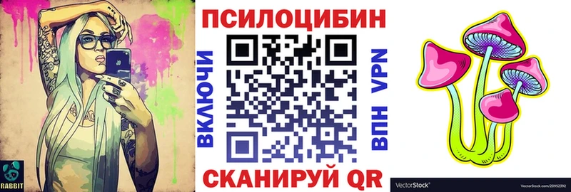 mega зеркало  закладки  Полесск  Галлюциногенные грибы GOLDEN TEACHER 